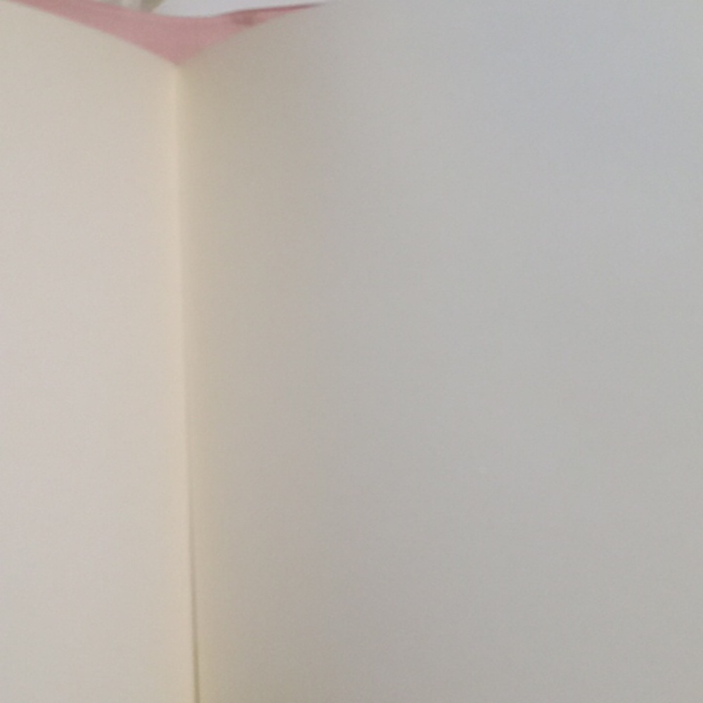 Pink journal - Picture 4 of 7